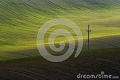 Detail scenery at South Moravian field during spring, Czech republic. Stock Photo