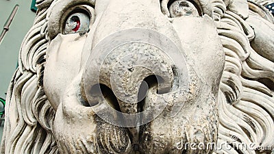 Detail, sculpture of a lion in the Cathedral of San Lorenzo cathedral of Genoa, cathedral of San Lorenzo, around the Stock Photo