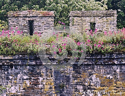 A Detail Shot of the Ancient City Wall, Conwy, Wales, GB, UK Stock Photo