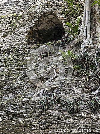 Detail shot of the Mayan temple of Dzibanche in Mexico with overgrowth Stock Photo