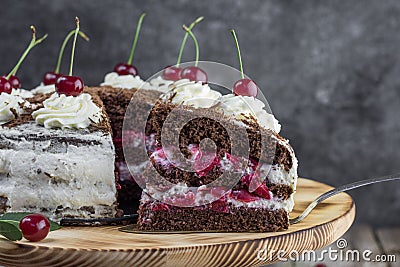 Detail on a Slice of a Black forest cake, or traditional austria schwarzwald cake from dark chocolate and sour cherries Stock Photo