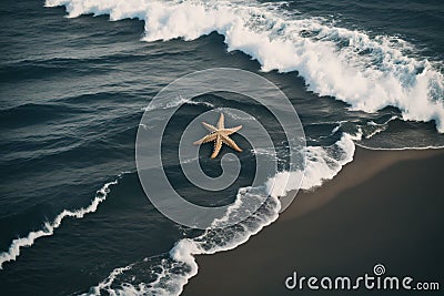 Detail of a starfish on the shore Stock Photo