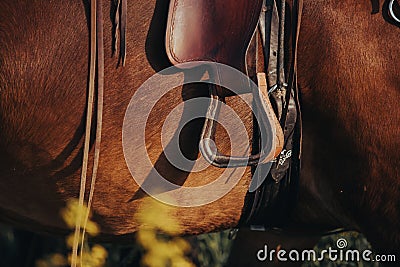 A detail of a stirrup on a western leather saddle Stock Photo