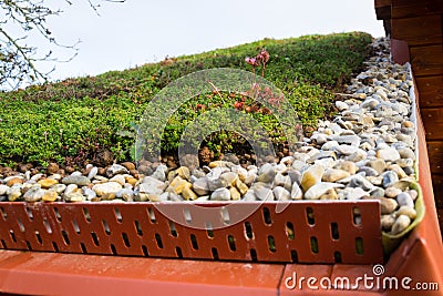 Detail of stones on extensive green living roof vegetation covered Stock Photo