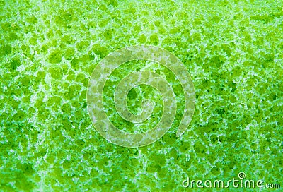 Surface texture of Pandan flavor roll cake Stock Photo