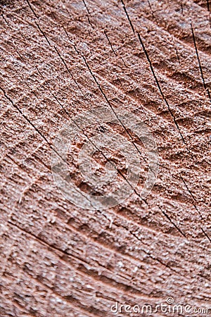 Detail of the texture of a wooden log split in half. Stock Photo