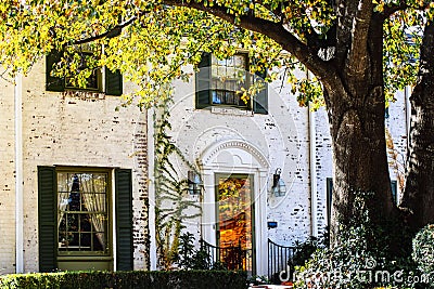 Detail of two story upscale white painted brick house with reflections of fall leaves in front door - Large tree in front with sun Stock Photo