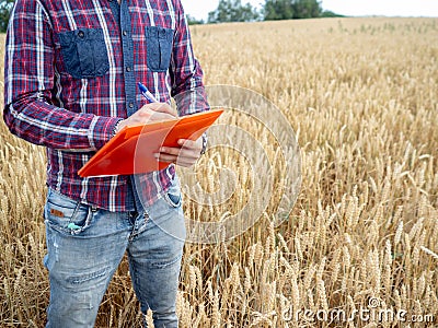 Detail of an unrecognizable farmer writing in a folder analyzing the harvest Stock Photo