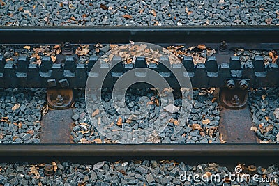 Detail view of cog or tooth railway in switzerland mountain rail system. Trains run on steep slopes over these toothed rails to Stock Photo