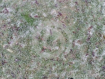 Village football pitch covered in hoar frost. Stock Photo