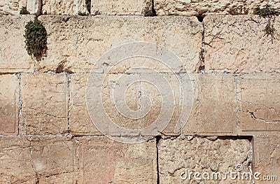 Detail of the Western Wall Limestone Blocks Stock Photo