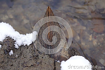 detail, winter pond, snow and frozen, stream Stock Photo