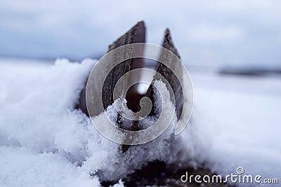 detail, winter pond, snow and frozen Stock Photo
