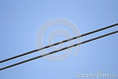 Detail of wire from power cable Stock Photo