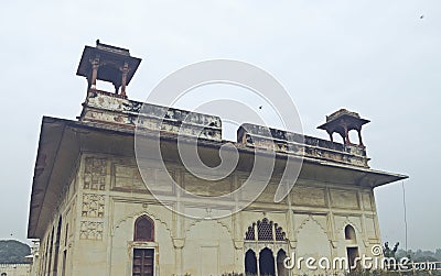 intricate work at unecso world heritage site, red fort, new delhi Editorial Stock Photo