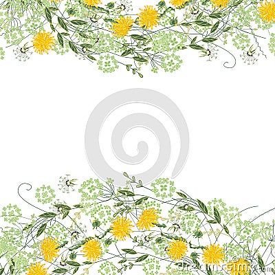 Detailed contour square frame with herbs, daisy and other flowers isolated on white. Greeting card for your design. Stock Photo