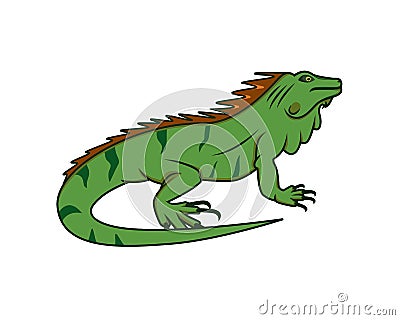 Detailed Crawling Iguana the Reptile Animal Illustration Vector Illustration