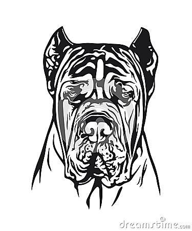 A detailed dog headshot in black and white vector art Vector Illustration