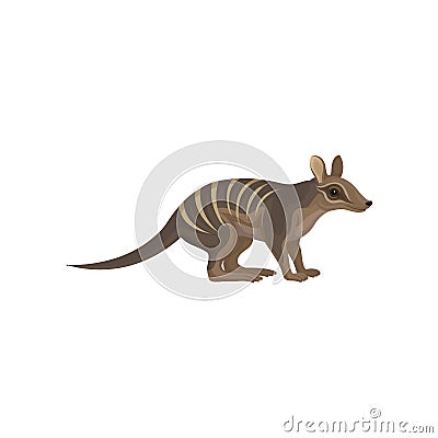 Detailed flat vector icon of Australian numbat. Wild animal with stripes on back. Marsupial anteater. Wildlife theme Vector Illustration