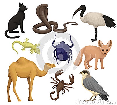 Detailed flat vector set of various Egyptian animals, birds and insects. Ibis, fennec fox, scarab beetle, small-spotted Vector Illustration