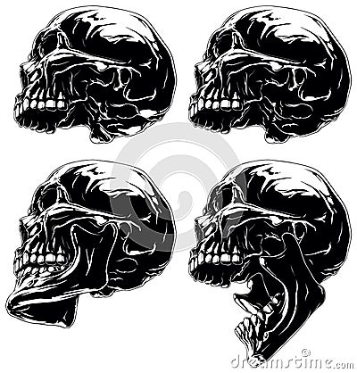 Detailed graphic skull in profile projection set Vector Illustration