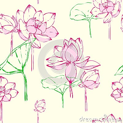 Detailed hand drawn illustration seamless floral pattern of lotus. sketch. Vector. Elements in graphic style label, card Cartoon Illustration