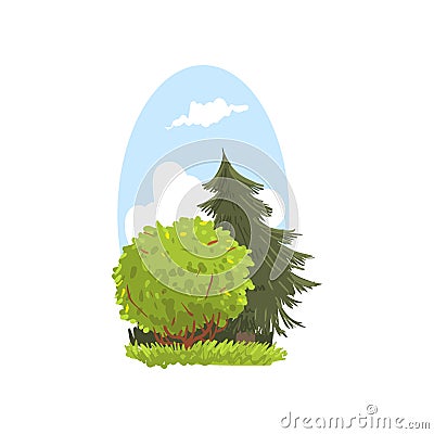 Detailed hand drawn landscape scene with evergreen fir and bush. Coniferous and deciduous trees. Woodland nature. Flat Vector Illustration
