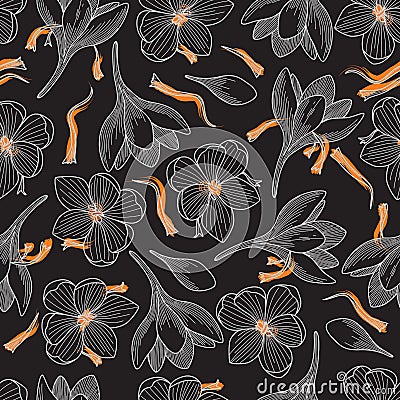Saffron and Crocus Flowers Seamless Pattern on Black Vector Illustration
