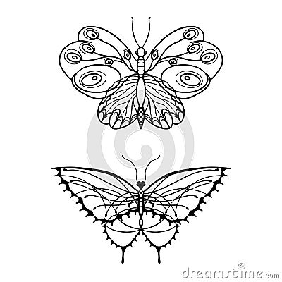 Detailed ornamental sketch of a moth,Hand drawn zentangle for adult anti stress. Vector Illustration