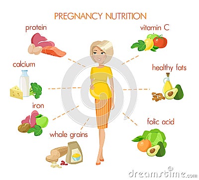 Detailed pregnancy nutrition infographic Vector Illustration
