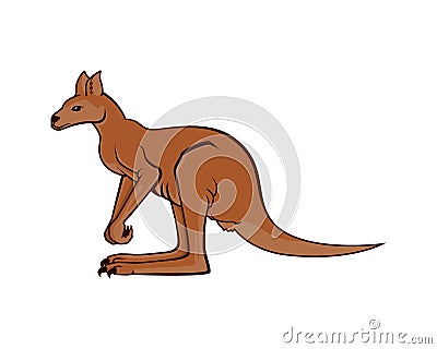 Detailed Standing Kangaroo Illustration the Indigenous Fauna to Australia Vector Illustration