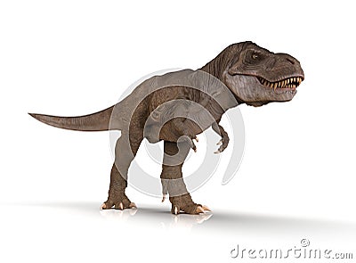 Detailed Tyrannosaurus Rex Dinosaur isolated Stock Photo