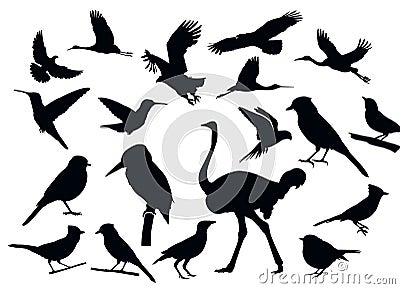 Detailed Vectoral Bird Silhouettes. Vector Illustration