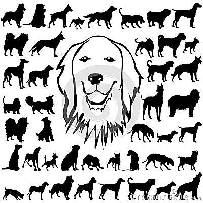 Detailed Vectoral Dog Silhouettes Stock Photo