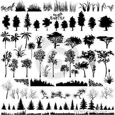 Detailed Vectoral Tree and Plant Silhouettes Stock Photo