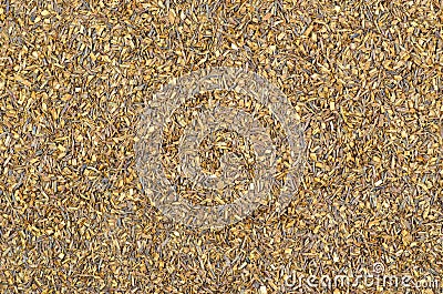 Detailed view of Rooibos tea Stock Photo