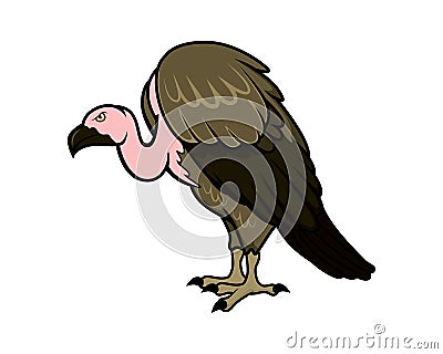 Detailed Vulture with Standing Gesture Illustration Vector Illustration