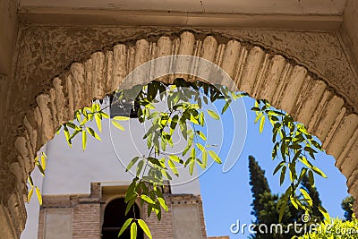 Details of the arch of the Generalife courtyard with its famous fountain and garden. Alhambra de Granada complex Stock Photo