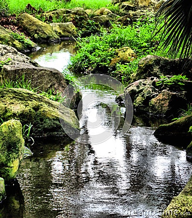 Details of beautiful stream Stock Photo