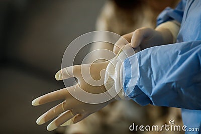 Details with the hands of a medic using surgical gloves Stock Photo