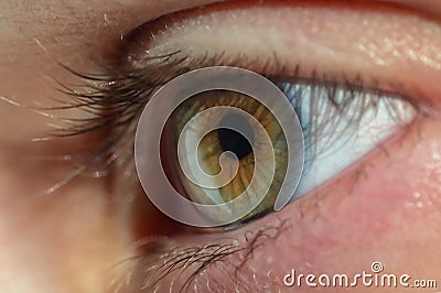 Human Eye Macro View Stock Photo