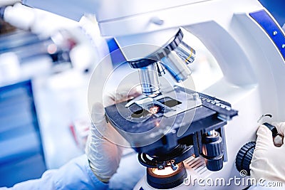 Details of medical laboratory, scientist hands using microscope for chemistry test samples Stock Photo