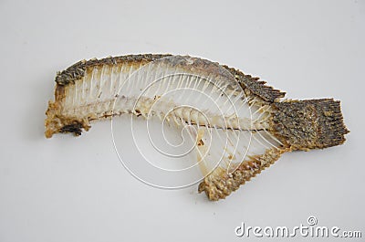 Details of Nile tilapia fish bone after eating Stock Photo