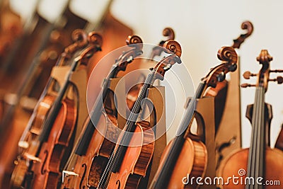 Details with parts of violins before a symphonic classical concert Stock Photo