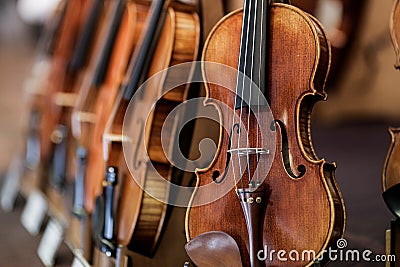 Details with parts of violins before a symphonic classical concert Stock Photo