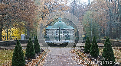 Details . Petergof Lower Park. Russia Stock Photo