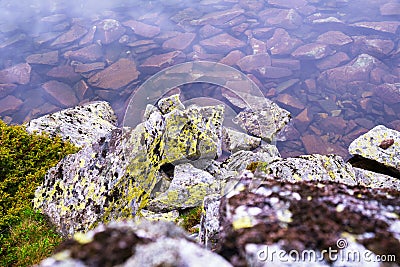 Details of purple sunset reflections and rocks with green lichens in Lake Bucura, a glacial lake in Retezat mountains. Stock Photo