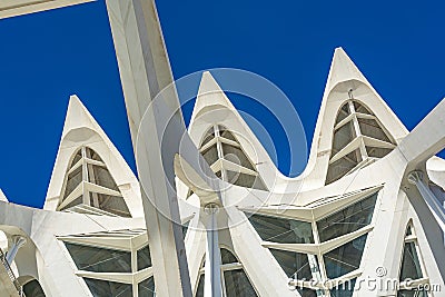 Details of the roof of Museu de les Ciencies Principe Felipe in Valencia, Spain 1 Editorial Stock Photo