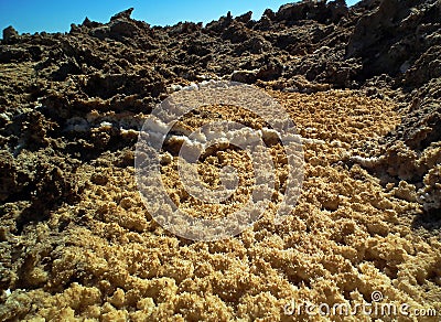 The details of salt crystals in salt flat polygons in desert , Iran Stock Photo