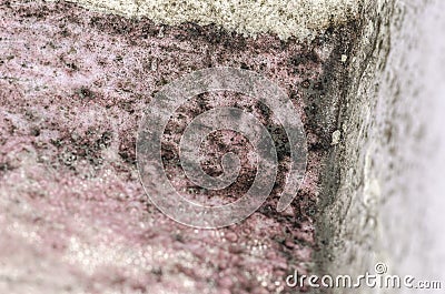 Detal of mold and moisture buildup on pink wall Stock Photo